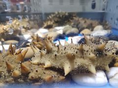 -永辉超市(百子湾店)