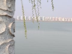 -东丽湖风景区