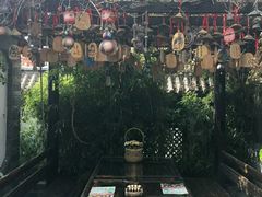 -慢丽江·云南野生菌土鸡锅(付家庄店)