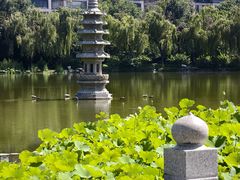 -木塔寺遗址生态公园