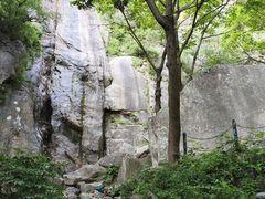 -王顺山国家森林公园