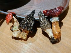-一朵菌·野生菌探索家火锅(南亚店)
