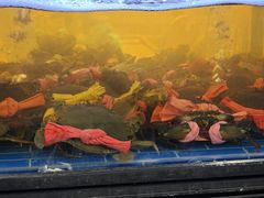 -辣螃铠盆盆蟹大排档(海昌店)