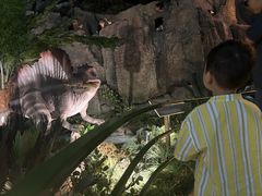 -陕西自然博物馆