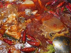 -探鱼·鲜青椒爽麻烤鱼(天河优托邦店)