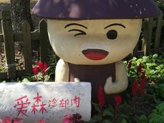 -上海都市菜园