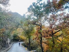 -北京鹫峰国家森林公园