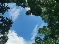 -番禺大夫山森林公园