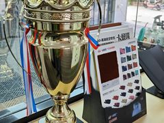 -天猫养车贴膜轻改·蓝电(优匹康桥东路店)