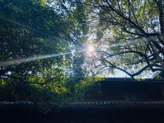 -蒋氏故居