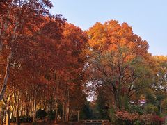 -河南省黄河迎宾馆