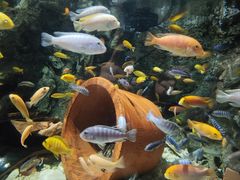 -太平洋海底世界