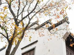 -老门东历史文化街区