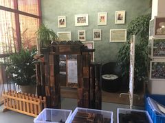 -梅花山庄幼儿园