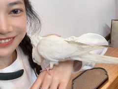 -点绛唇(鼓楼店)