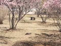 -沈阳职业技术学院