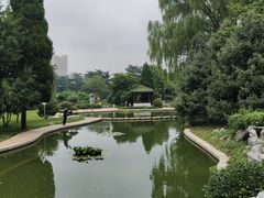 -南郊宾馆·风味自助餐厅·山东十六地市特色菜