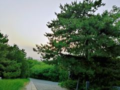-奥林匹克森林公园南门-停车场