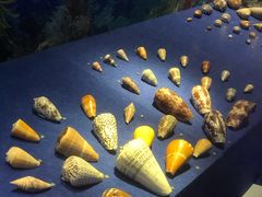 -王虎子大饼(甸柳新村五区店)