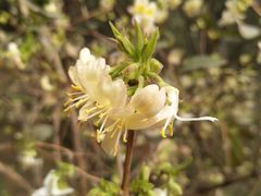 -中央广播电视总台(光华路办公区)