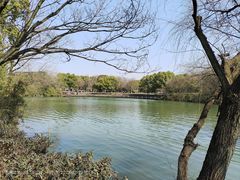 -西溪国家湿地公园