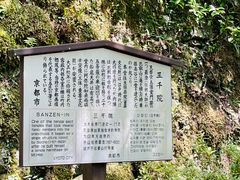 -三千院