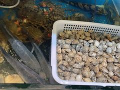 -福建美食城(老君堂店)
