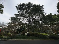 -浙江西子宾馆·牡丹厅