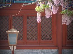 -北京国子监胡同