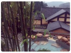 -崇阳三特浪口温泉