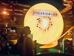 -沈大成(城隍庙店)