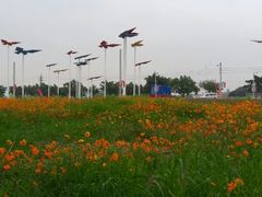 android_upload_pic-万顷园艺世界