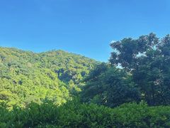 -火炉山森林公园