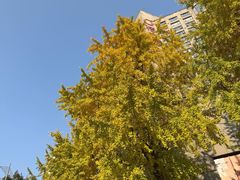 -南倾·星空塔酒店(成都春熙路太古里店)