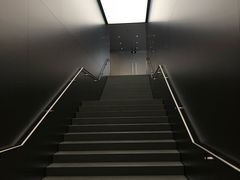 -Apple零售店(中街大悦城店)