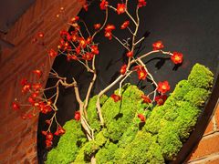 -鸽子窝(宋庄店)