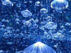 -杭州西湖星空魔幻城(星空艺术馆品牌旗舰店)