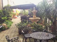 -more than meow吴止猫主题餐厅(承德 中船汇店)