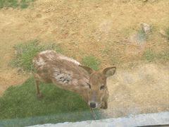 -泉州海丝野生动物世界