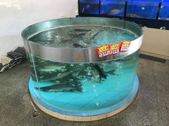 -鲤鱼塘农家山庄