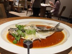 -宁波柏悦酒店·钱湖渔港