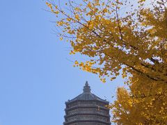 -玲珑塔公园