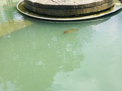 -成都市活水公园