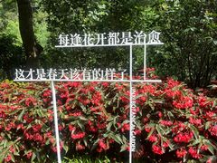 -云溪植物园