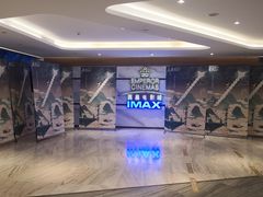 -英皇电影城(英皇集团中心IMAX店)