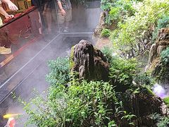 -唐河王记·南阳民间菜(国基路店)