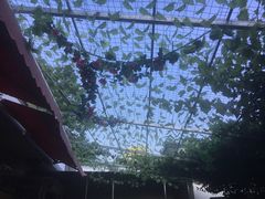 -伊隆斋(什刹海店)