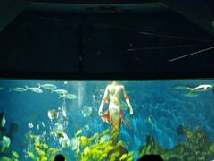 -海合安武汉极地海洋公园
