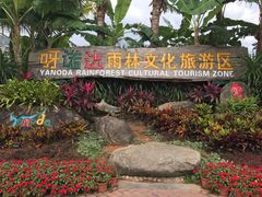 -呀诺达热带雨林