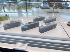 -BLACKSWAN黑天鹅(环球店)